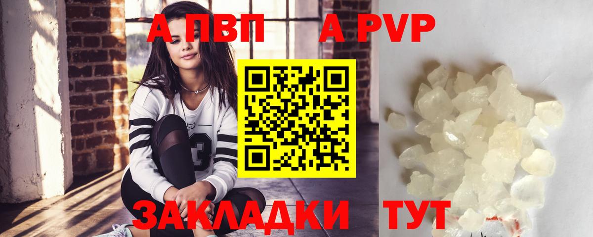 Альфа ПВП СК Балашов
