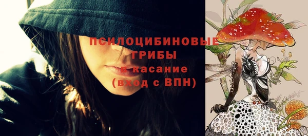 прущая мука Алзамай