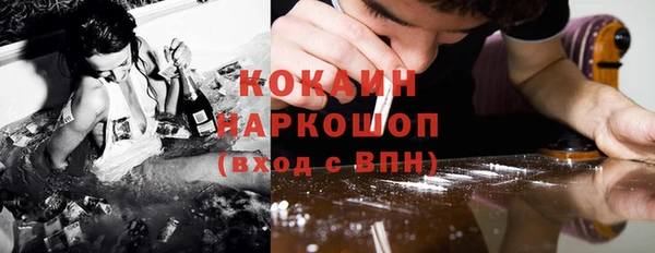 крисы Алексин