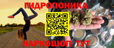 гидра Пушкино