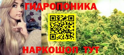 гидра Пушкино