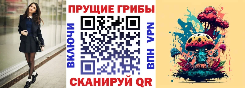 Псилоцибиновые грибы Cubensis  Балашов 